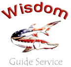 Wisdom Guide Service